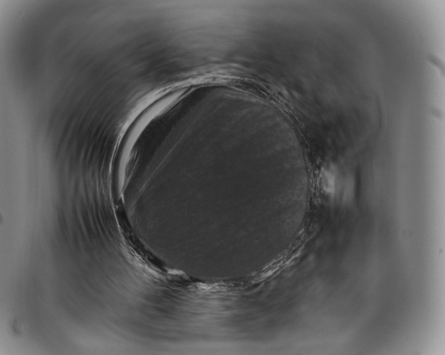 X0000098000100200804141217