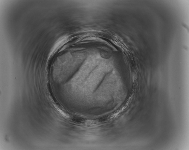 X0000098000101200804141217