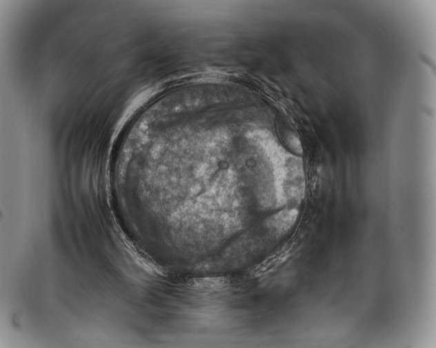 X0000098000102200804141217