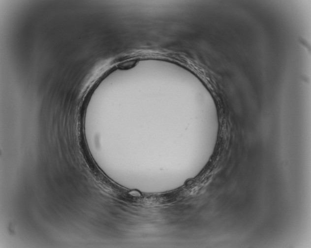 X0000098000103200804141217
