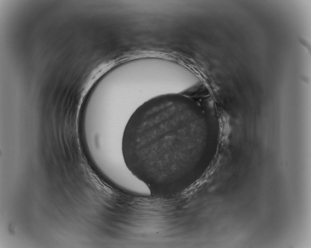X0000098000104200804141217