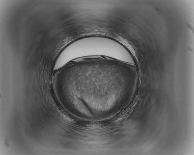 X0000098000105200804141217