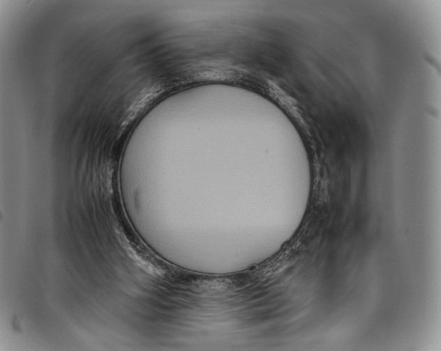 X0000098000106200804141217