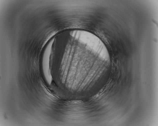 X0000098000108200804141217