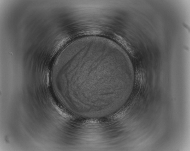 X0000098000110200804141217