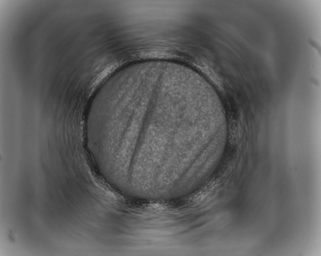 X0000098000111200804141216