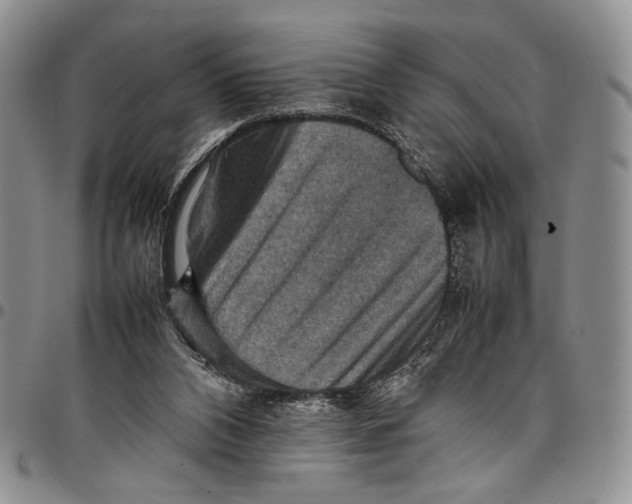 X0000098000112200804141216