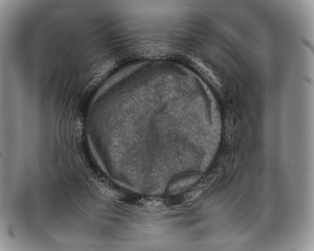 X0000098000113200804141216