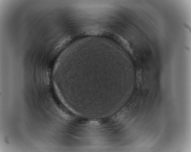 X0000098000114200804141216