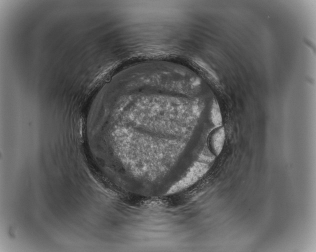 X0000098000115200804141216