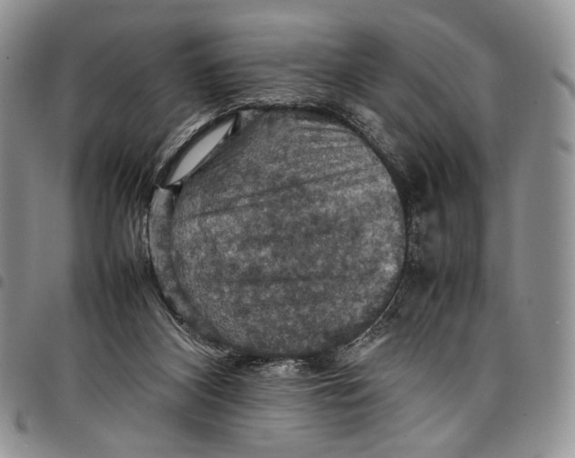 X0000098000116200804141216