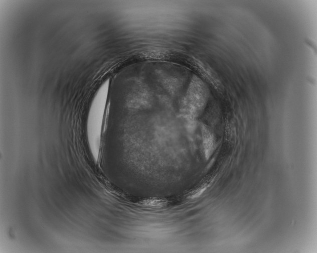 X0000098000117200804141216