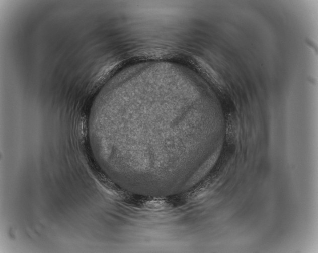 X0000098000119200804141216