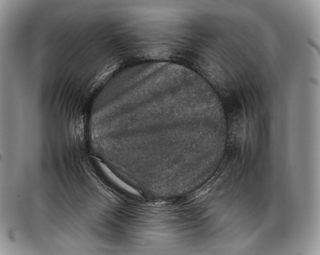 X0000098000120200804141216