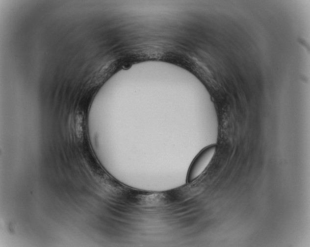 X0000098000122200804141216
