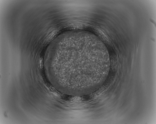 X0000098000123200804141216