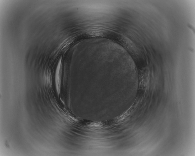 X0000098000124200804141216