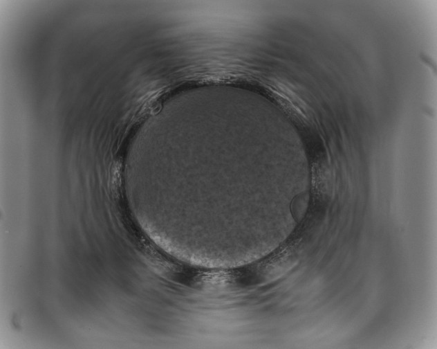 X0000098000127200804141216