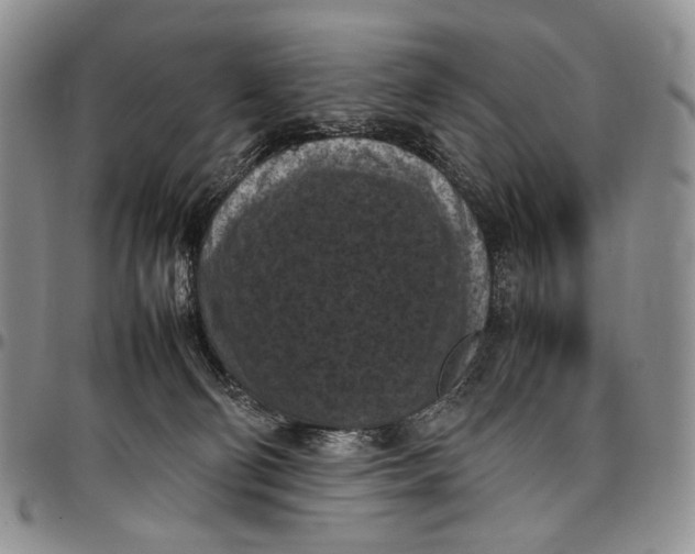 X0000098000130200804141216