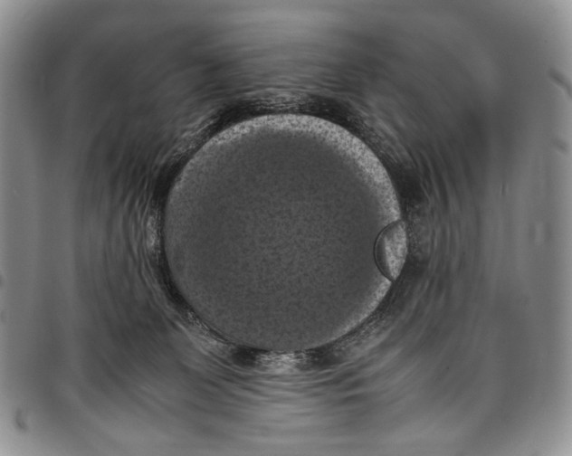 X0000098000131200804141216