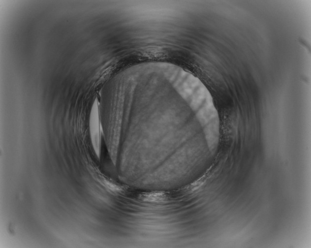 X0000098000132200804141216