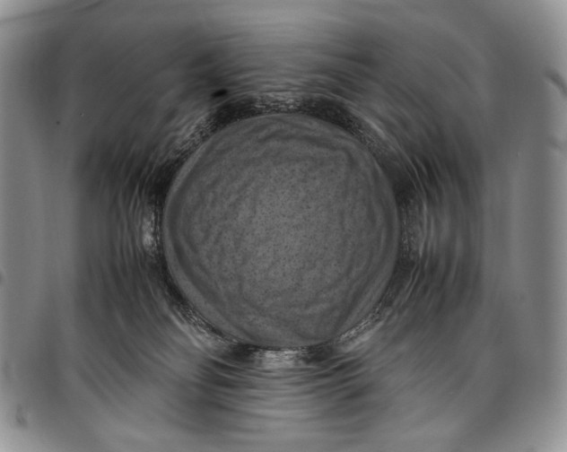X0000098000134200804141216