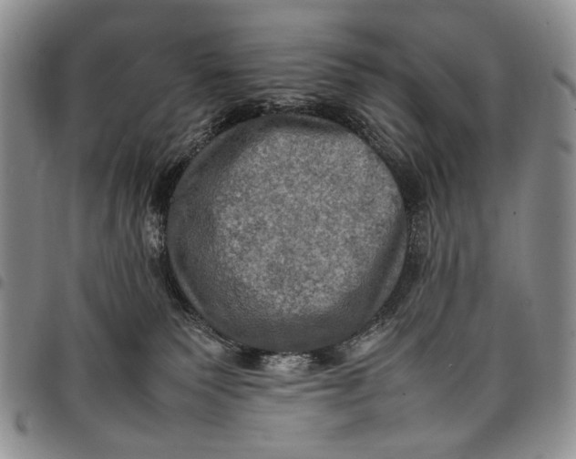 X0000098000135200804141216