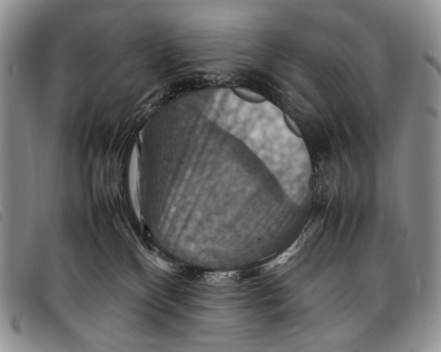 X0000098000136200804141216