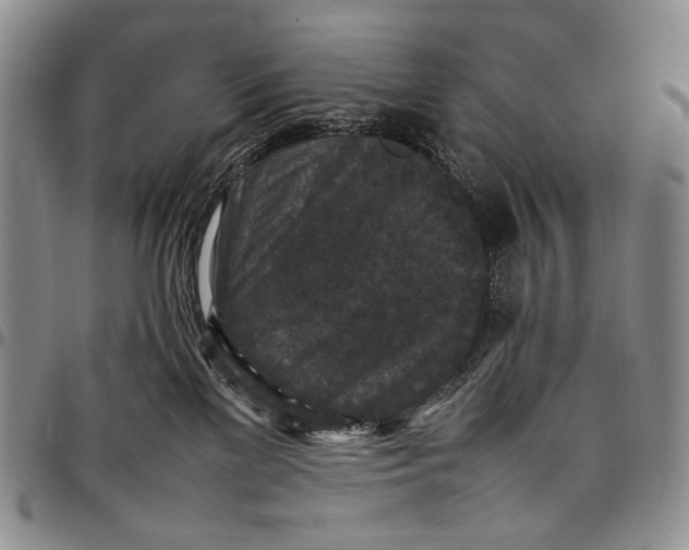 X0000098000137200804141216