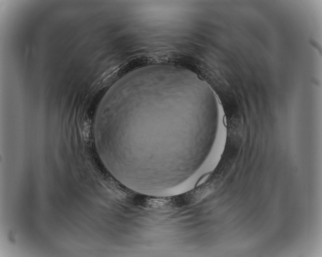 X0000098000139200804141216