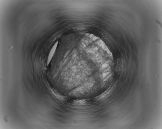 X0000098000140200804141216
