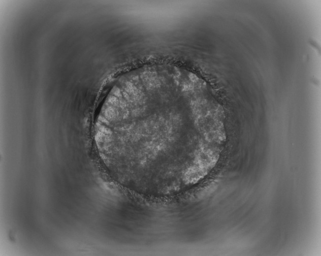X0000098000144200804141216