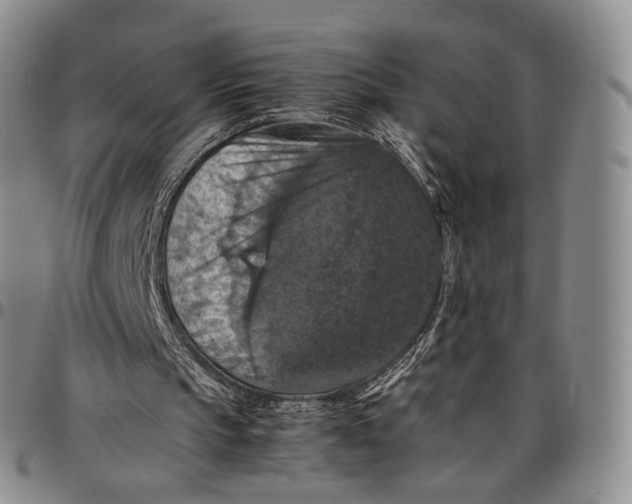 X0000098000145200804141215