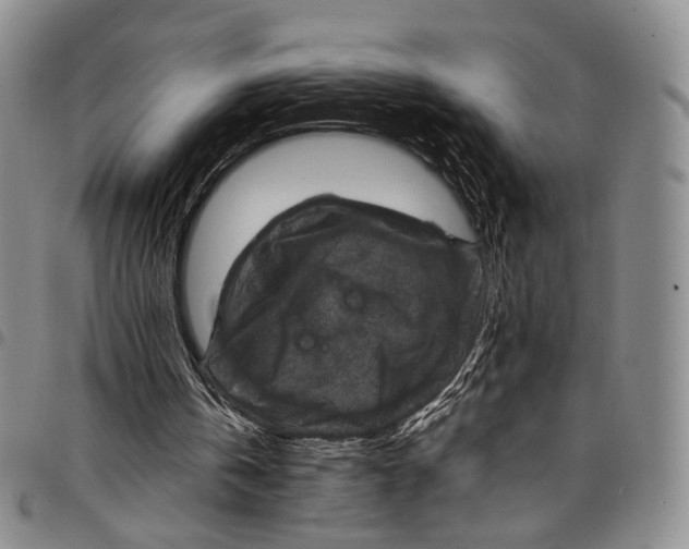 X0000098000146200804141215