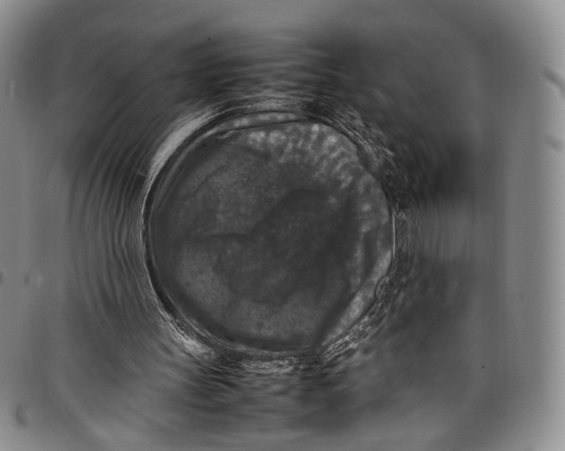 X0000098000147200804141215