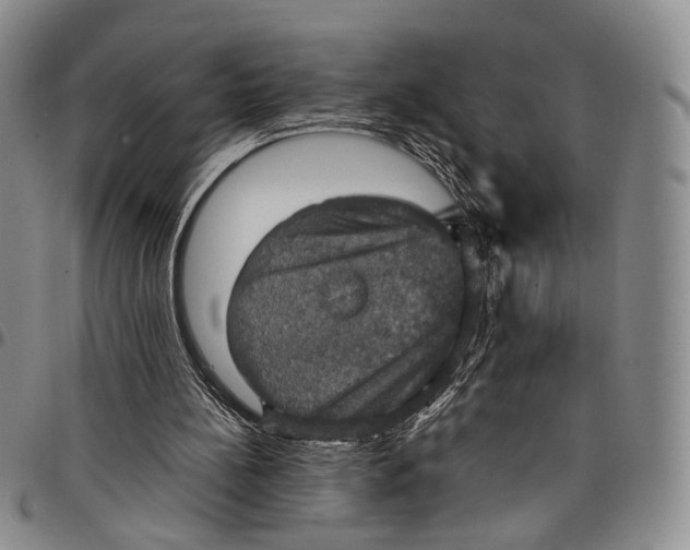X0000098000148200804141215