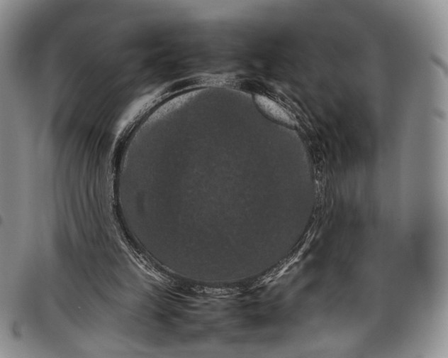 X0000098000149200804141215