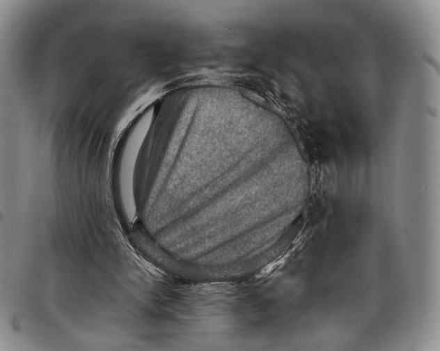 X0000098000150200804141215