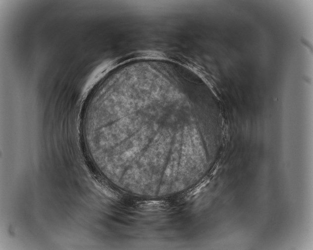 X0000098000151200804141215