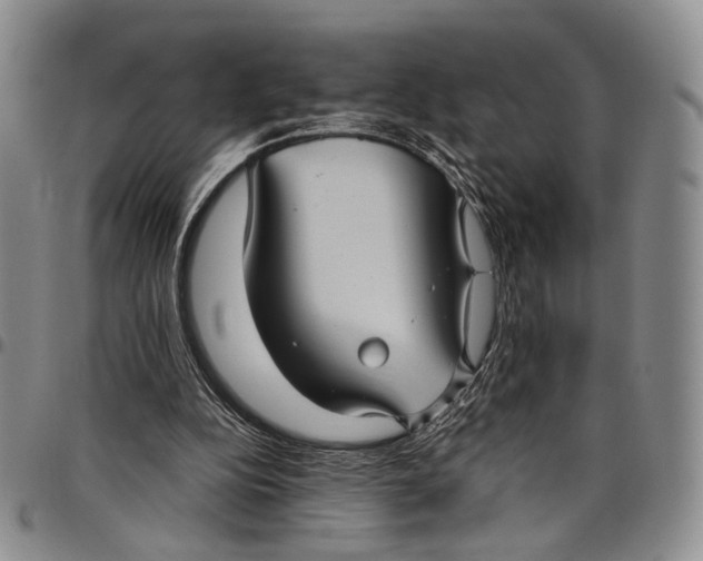 X0000098000152200804141215