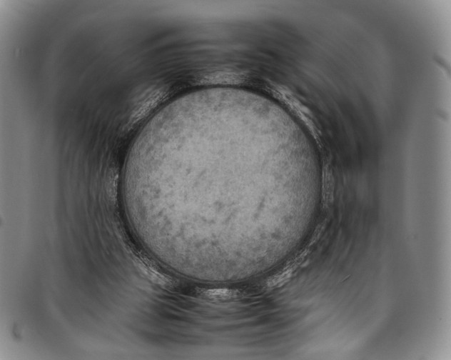 X0000098000153200804141215