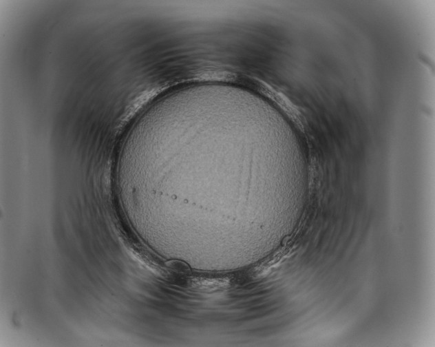 X0000098000155200804141215
