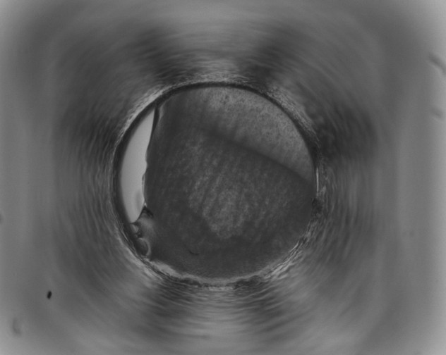 X0000098000156200804141215