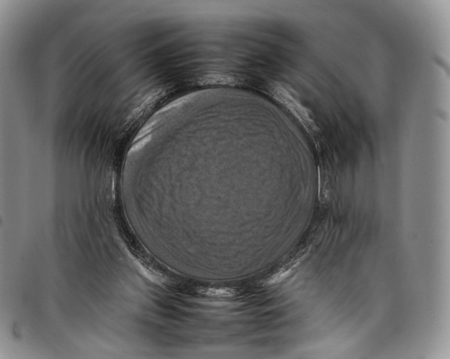 X0000098000157200804141215