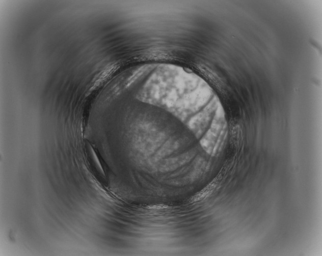 X0000098000158200804141215