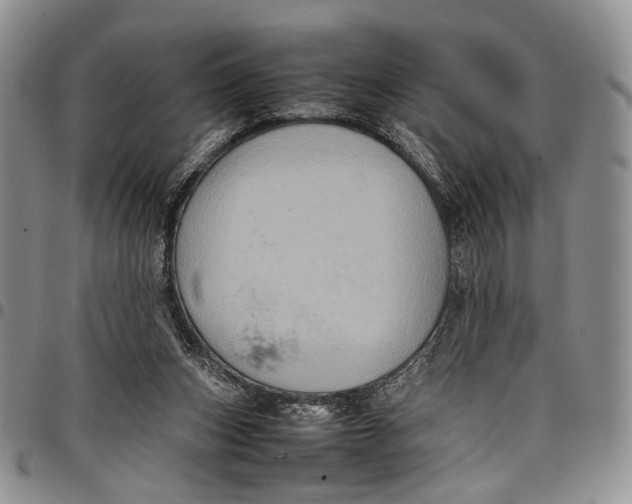 X0000098000159200804141215