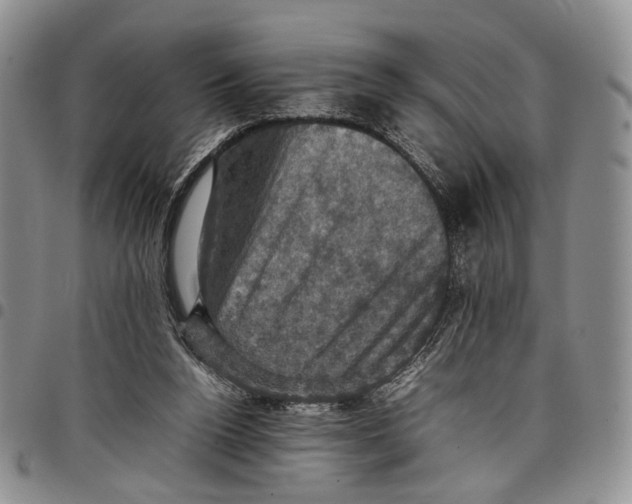 X0000098000160200804141215