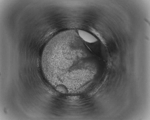 X0000098000161200804141215