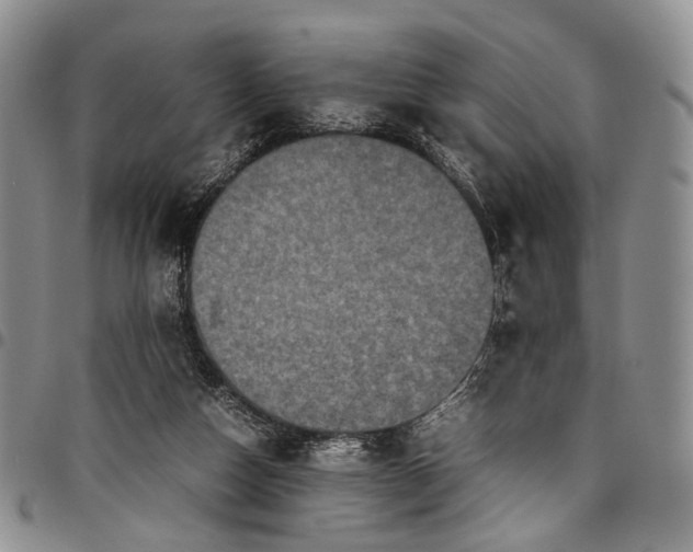 X0000098000162200804141215