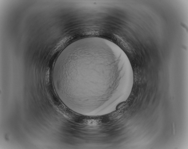 X0000098000163200804141215